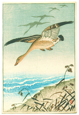 Japanese Print "Geese" by Ohara Koson, 小原古邨 (Ohara Koson)