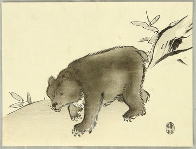 Unknown: Bear - Artelino