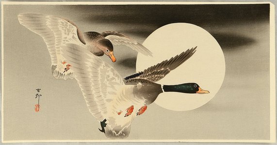 Ohara Koson: Two Mallard Ducks and the Moon - Artelino