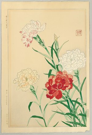 Kawarazaki Shodo: Carnations - Artelino