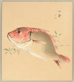 Takeuchi Seiho: Fish - Artelino