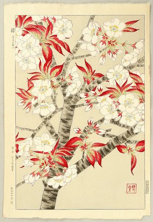 Kawarazaki Shodo: Cherry Blossoms - Artelino