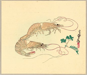 Hasegawa Sadanobu: Prawns and Chinese Pepper - Artelino