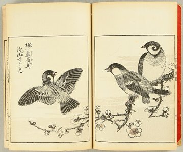 Tachibana Morikuni: E-hon: Album of Flowers and Birds - Artelino