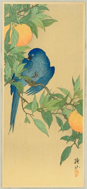 Ito Sozan: Blue Parrot - Artelino