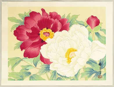 Unknown: Peonies - Artelino