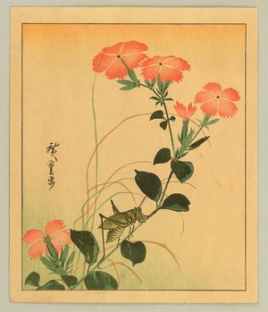 歌川広重: Flower and Cricket - Artelino