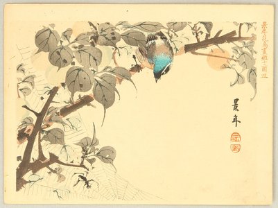 今尾景年: Keinen Kacho Gakan Juni Zu - Blue Headed Bird - Artelino