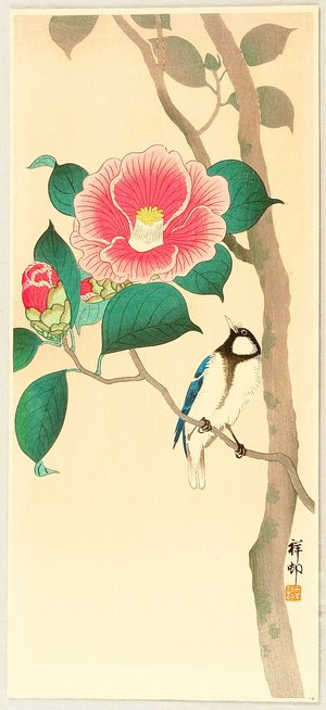 Ohara Koson: Bird on Camellia - Artelino