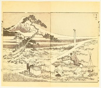 Katsushika Hokusai: 100 View of Mt.Fuji - Picnic - Artelino
