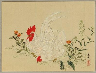 Unknown: Rooster and Hen - Artelino