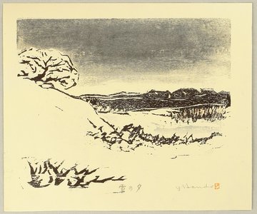 Unknown: Snow Landscape in the Evening - Artelino