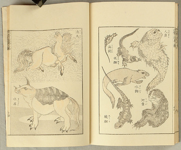 葛飾北斎: Hokusai Manga vol.3 - Artelino