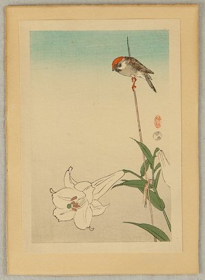Ohara Koson: Sparrow and lily - Artelino