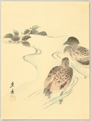 Shibata Zeshin: Ducks - Artelino