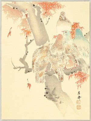 Kikuchi Yosai: Pigeons and Maple - Artelino