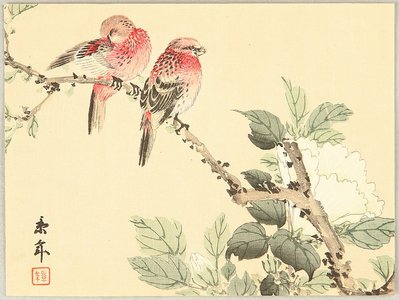 今尾景年: Birds and Cotton Rose - Artelino