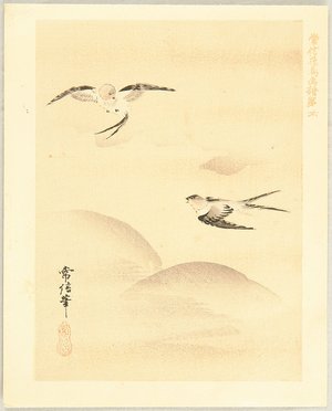 Unknown: Swallows - Artelino