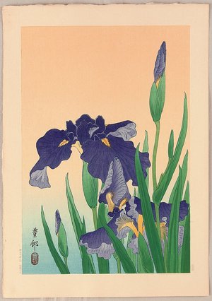 小原古邨: Flowering Iris - Artelino