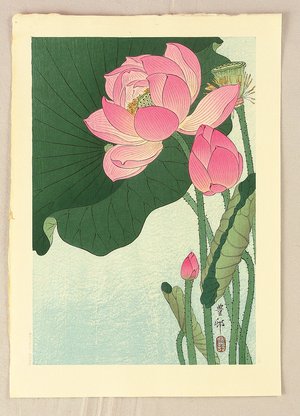 Ohara Koson: Flowering Lotus - Artelino