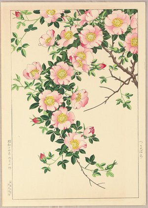 Nishimura Hodo: Vine Rose - Artelino