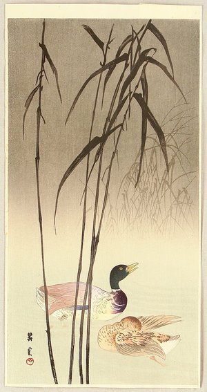 Yamamoto Shoun: Mallard Ducks - Artelino