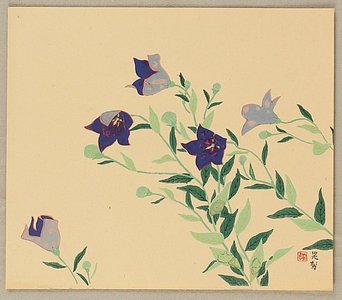 Miwa Chosei: Blue Balloon Flower - Artelino