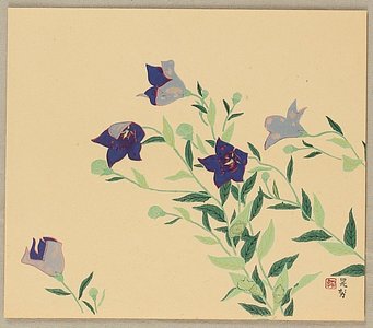 Miwa Chosei: Blue Balloon Flower - Artelino