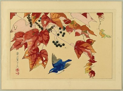 Tsuchiya Rakusan: Selected Pictures of Koushisei - Blue Bird and Berry - Artelino