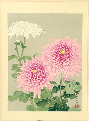 無款: Chrysanthemums - Artelino