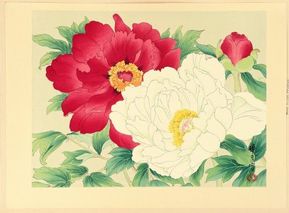 Unknown: Peonies - Artelino