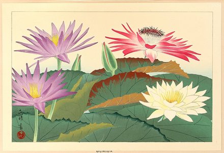 Aoyama Masaharu: Water Lilies - Artelino