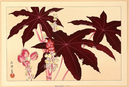 Aoyama Masaharu: Exotic Flower - Artelino