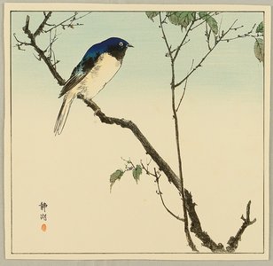 Seiko: Bird on Branch - Artelino