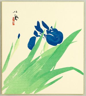 Takeuchi Seiho: Iris - Artelino