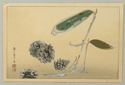 Tsuchiya Rakusan: Selected Pictures of Koushisei - Bamboo and Pine Corns - Artelino