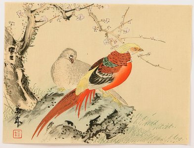 今尾景年: Chinese Pheasants - Artelino