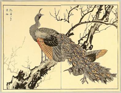 Maekawa Bunrei: Peafowl and Plum Tree - Artelino