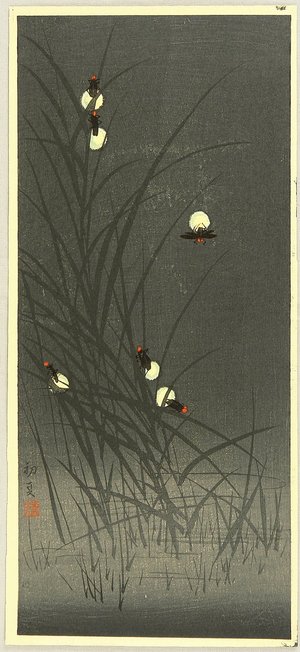 Unknown: Fireflies in the Early Summer - Artelino