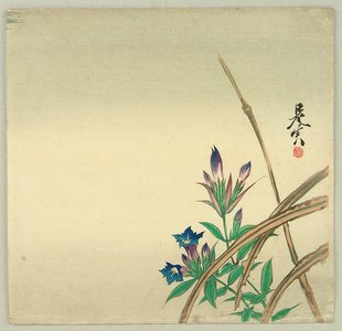 Shibata Zeshin: Bell Flower - Artelino