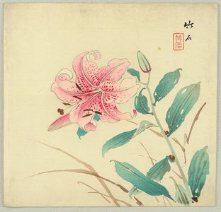 Nagamachi Chikuseki: Lily - Artelino