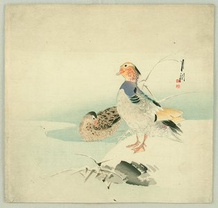 Ogata Gekko: Mandarin Ducks - Artelino