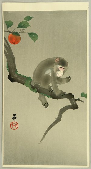 小原古邨: Monkey in a Tree - Artelino