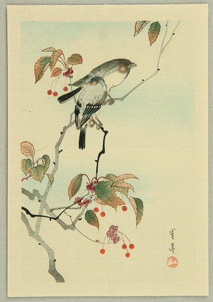 Watanabe Seitei: Birds and Red Berries - Artelino