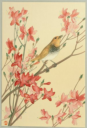 Unknown: Bird on Azalea - Artelino