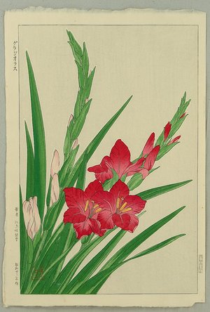 Kawarazaki Shodo: Gladiolus - Artelino