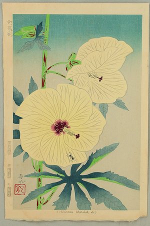 Nakamura Shundei: Hibiscus - Artelino