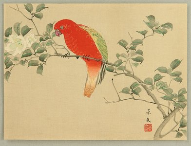 無款: Red Parrot and White Flower - Artelino