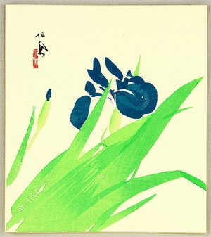 Takeuchi Seiho: Iris - Artelino