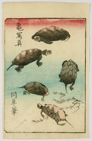 日本版画 "Ehon Tebikigusa - Tortoises" 由 Ando Hiroshige, 歌川広重 (Ando Hiroshige) 创作